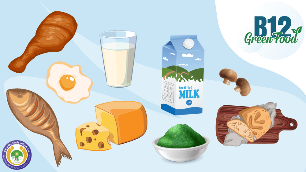 Top 10 Great Food Sources of Vitamin B12