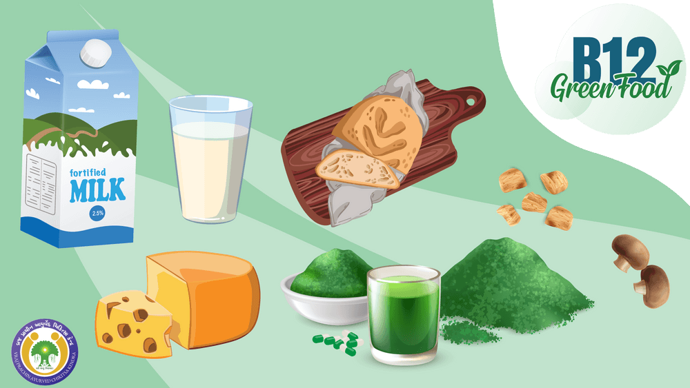 Top 7 Great Sources of Vitamin B12 Foods for Vegetarians and Vegans
